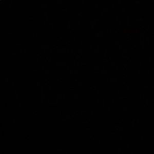 Meet your Posher, Noah